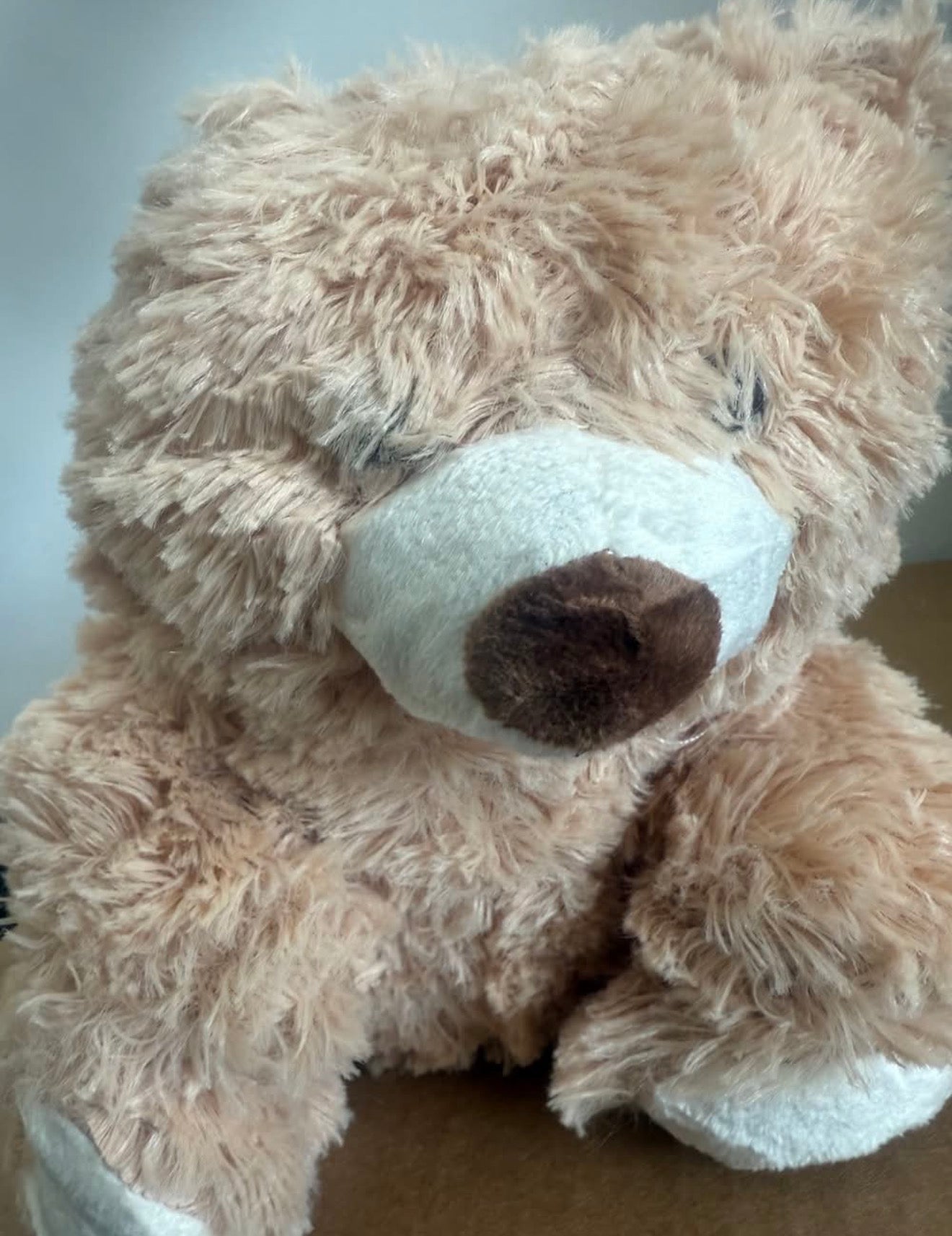 Jenaai 10-Inch Plush Bear