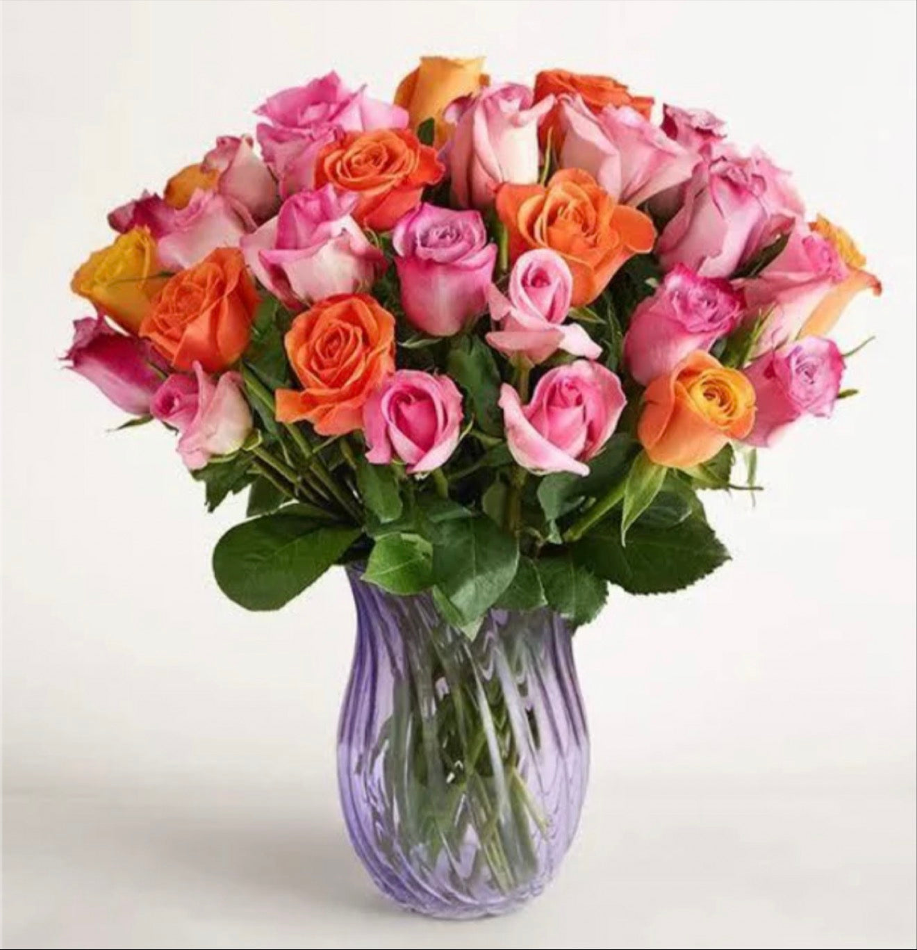 Radiant Rose Delight